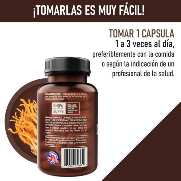 Cordyceps - Image 3
