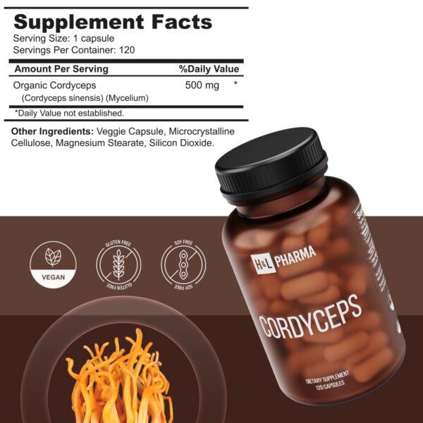 Cordyceps - Image 4