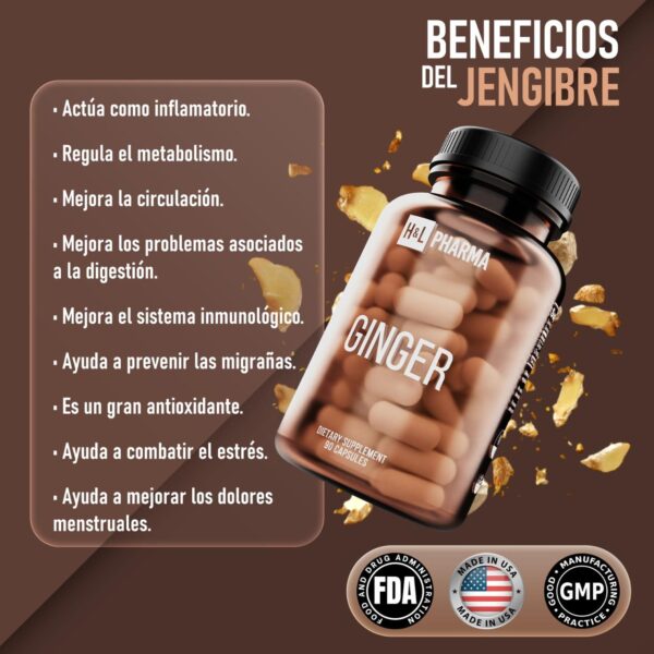 Ginger - Image 2
