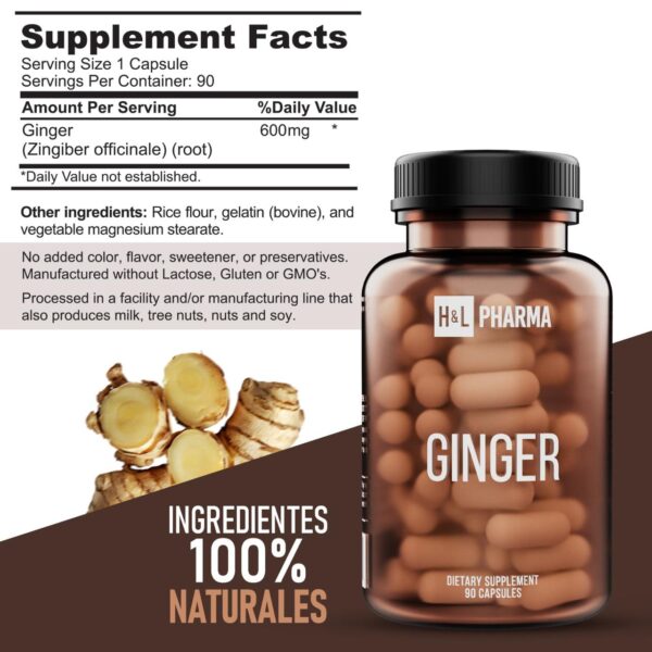 Ginger - Image 4